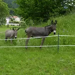Haus Am Rotwiesenbach דירה *