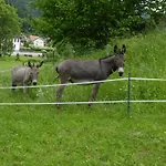 Haus Am Rotwiesenbach Apartman *