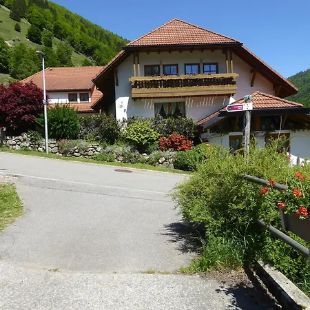 Haus Am Rotwiesenbach * Todtnau