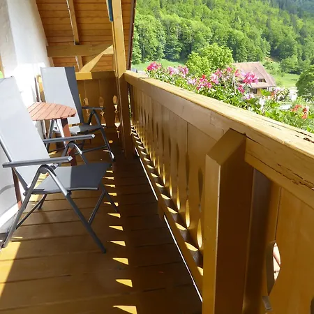 Haus Am Rotwiesenbach شقة تودتناو