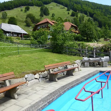 Haus Am Rotwiesenbach * Todtnau