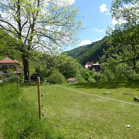 شقة Haus Am Rotwiesenbach *