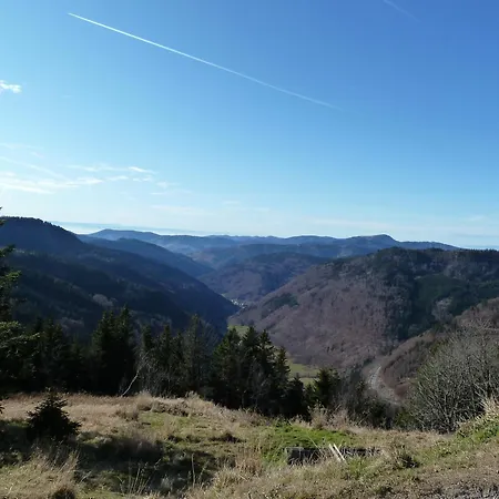 شقة Haus Am Rotwiesenbach تودتناو