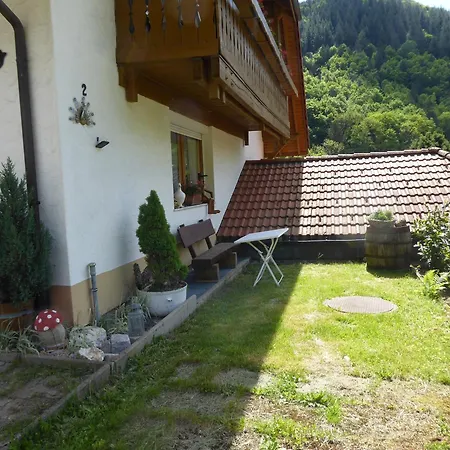 Haus Am Rotwiesenbach شقة تودتناو