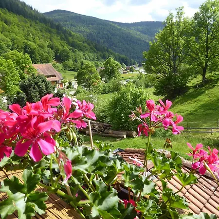 Haus Am Rotwiesenbach Apartmán *