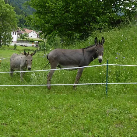 Haus Am Rotwiesenbach Apartmán *