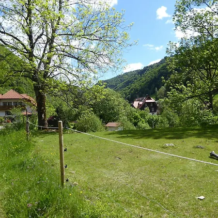 Apartmán Haus Am Rotwiesenbach