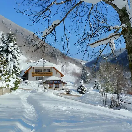Haus Am Rotwiesenbach Apartmán Todtnau